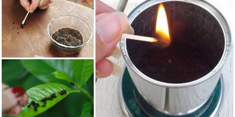 How You Can Use Coffee Grounds