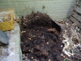 Coffee grounds make outstanding addition into compost.