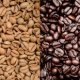 About coffee beans