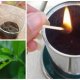 How to use coffee grounds for plants?