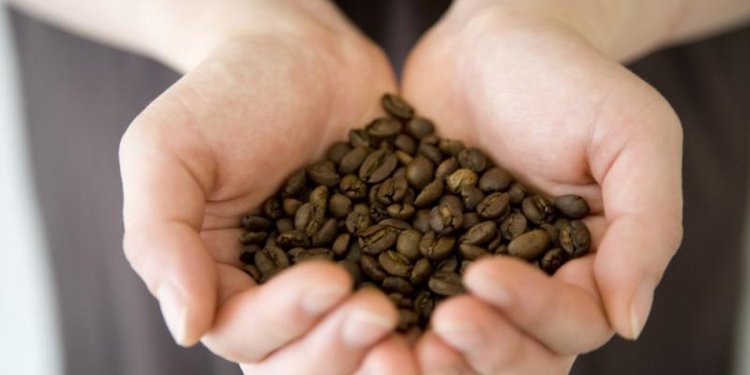Can you Boil coffee beans?