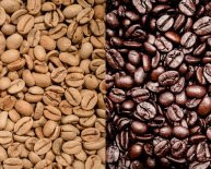 About coffee beans