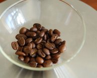 Coffee beans Brewer