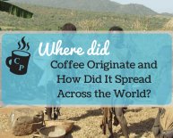 Where did coffee beans originate?