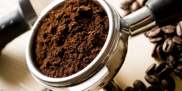 Use of coffee grounds in Gardening
