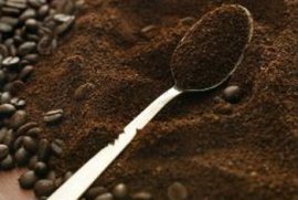 Use fresh coffee grounds within the yard, maybe not fermented or bad ones.